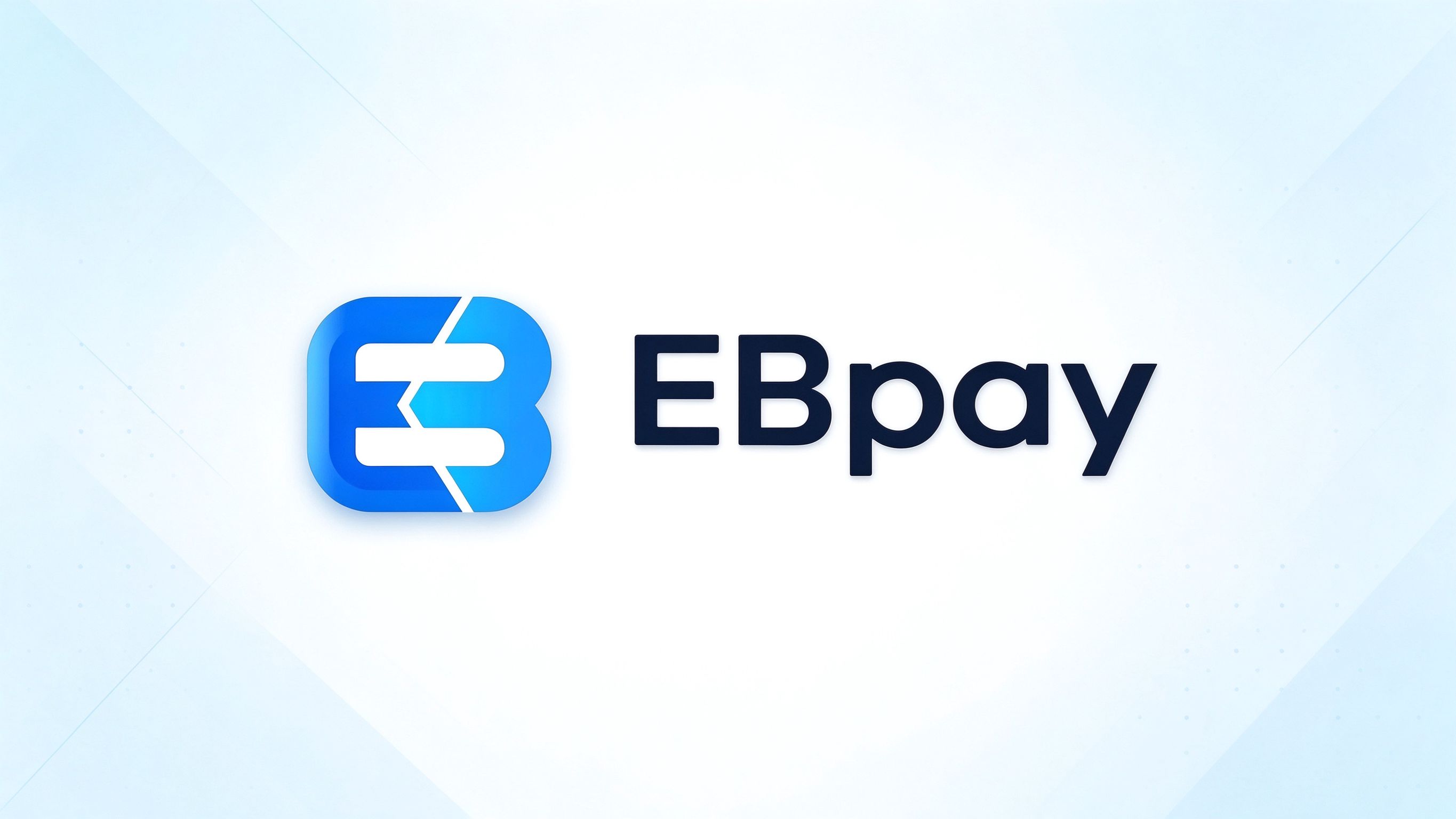 EBpay 使用说明与自助核对